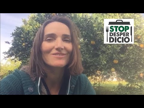 #STOPDESPERDICIO
